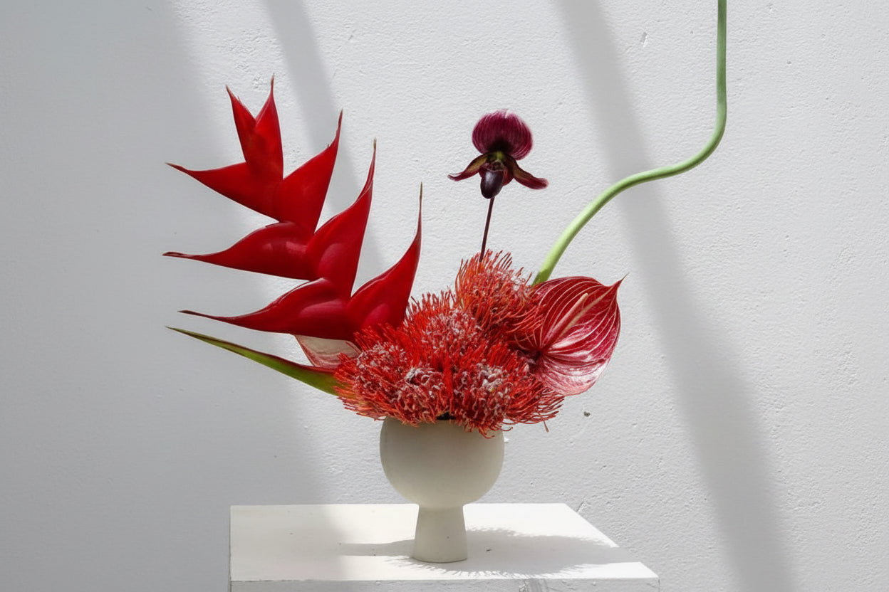 Summer Breeze No.1 Arrangement