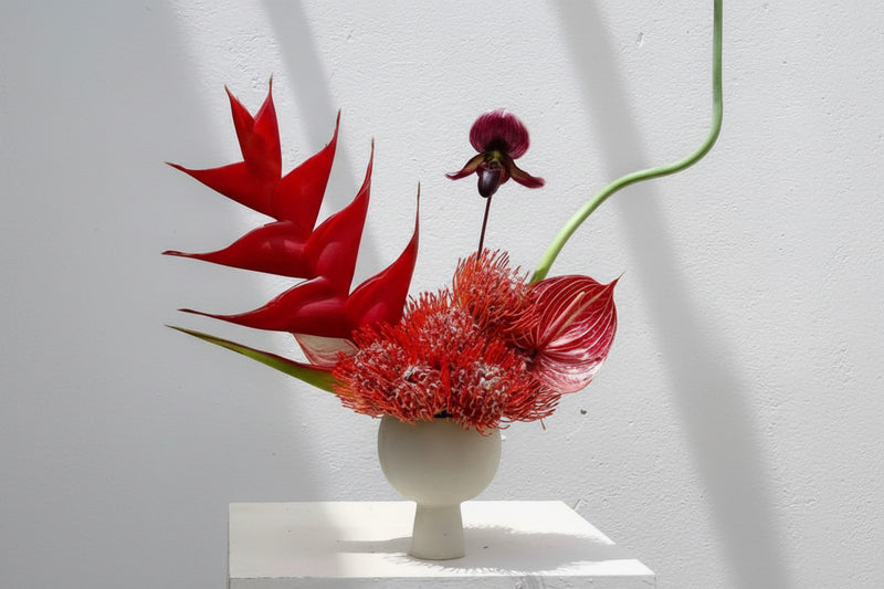 Summer Breeze No.1 Arrangement