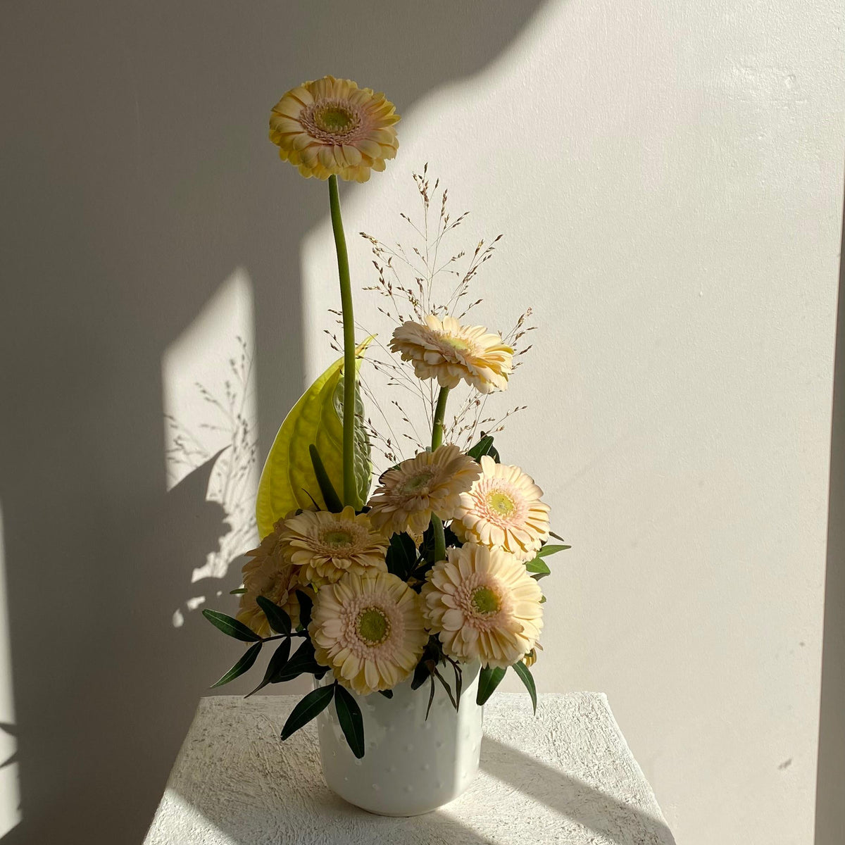 Florist'in Seçimi No:1