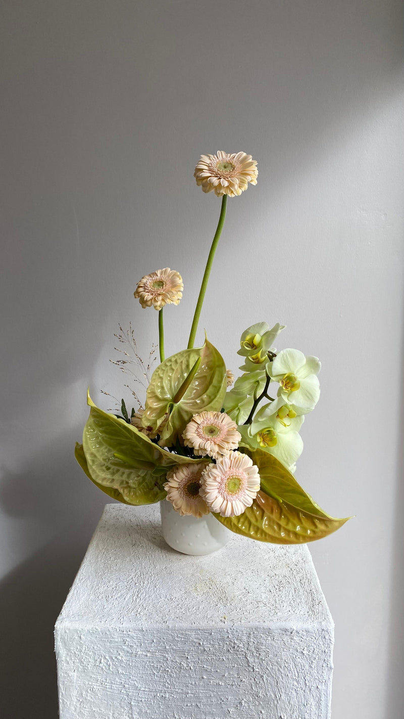 Florist'in Seçimi No:2