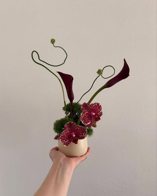 Summer Breeze No.1 Arrangement